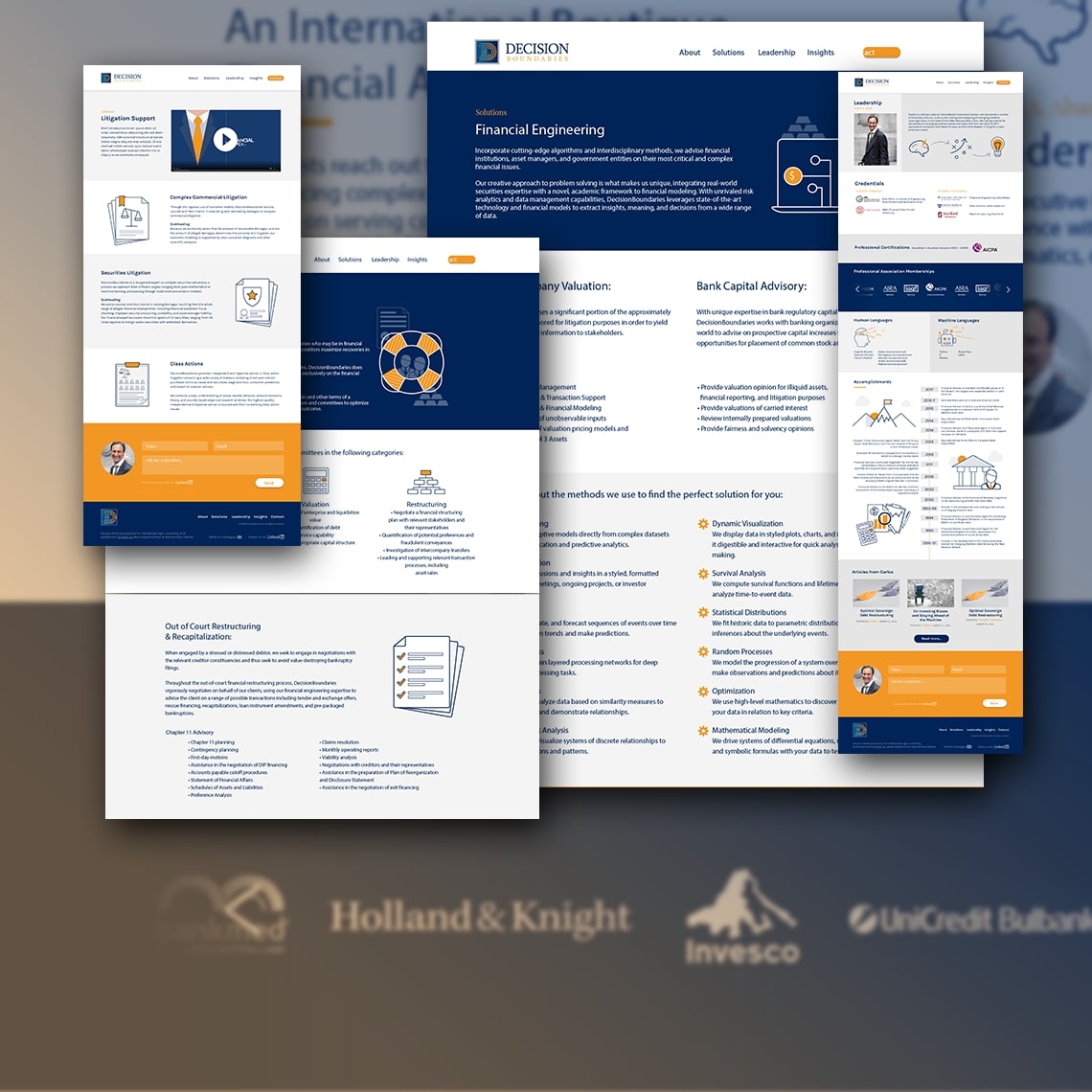 DecisionBoundaries Portfolio Execute Mockup