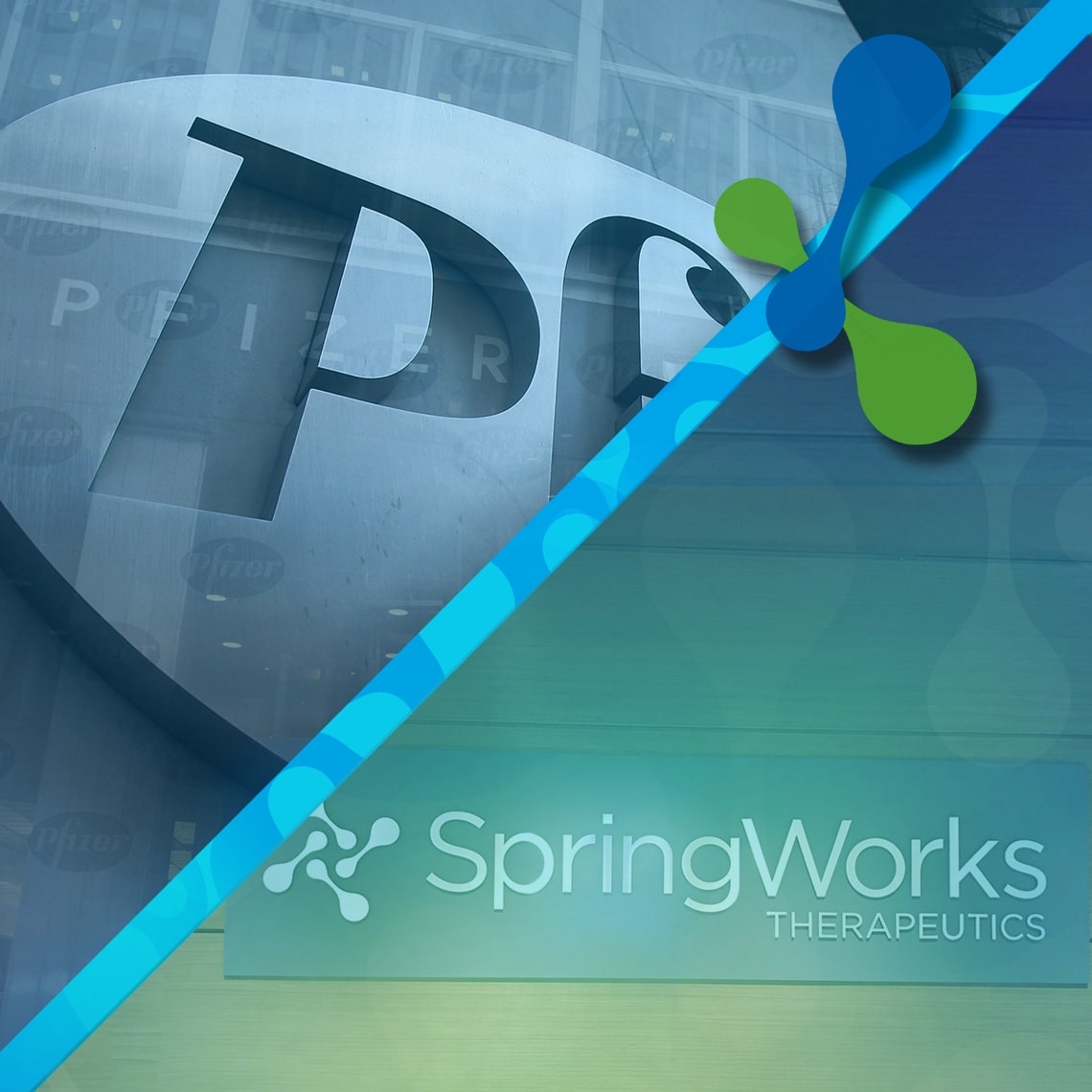 Springworks Therapeutics Portfolio Pfzier Spin Off Brand