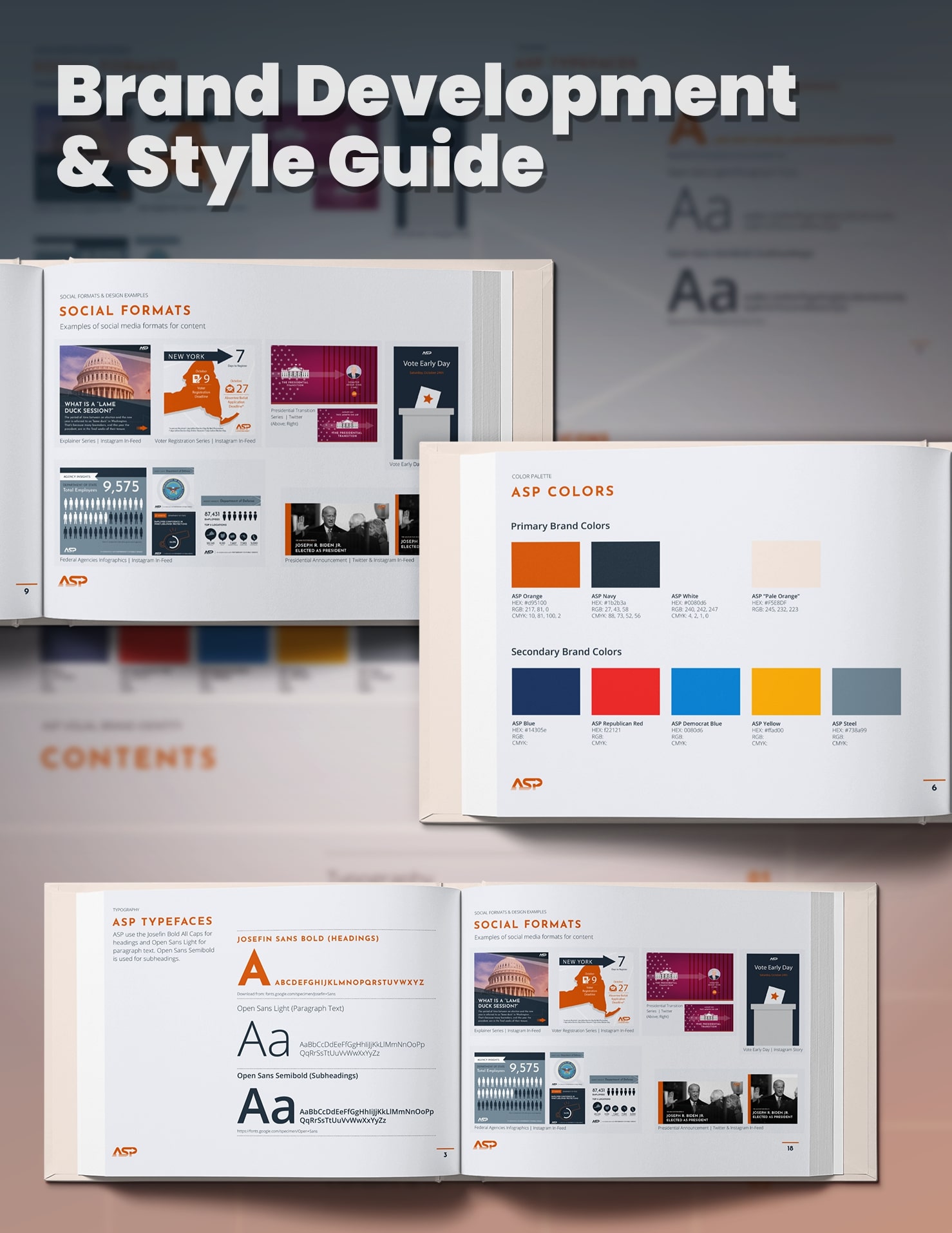 ASP Brand Development Services Style Guide Creation 10